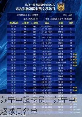 苏宁2017中超报名名单 苏宁2017中超球队报名名单公布