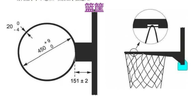 为什么标准篮球尺寸是如此重要？