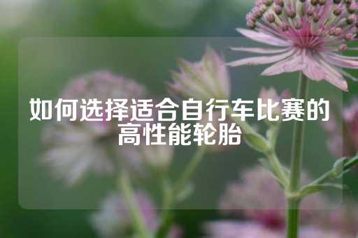 如何选择适合自行车比赛的高性能轮胎